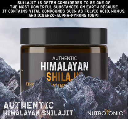 Shilajit Original Himalaya