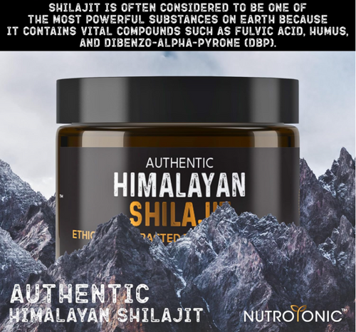 Shilajit Original Himalaya